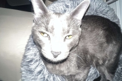 A0EE46D9-7527-4ED4-97C6-84F27B6897C8